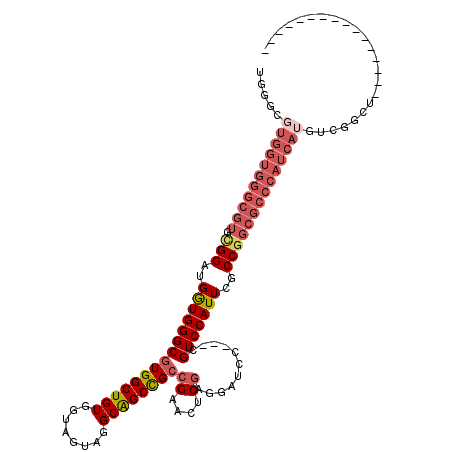 secondary structure