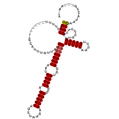secondary structure