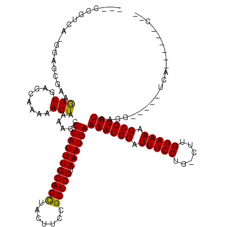 secondary structure