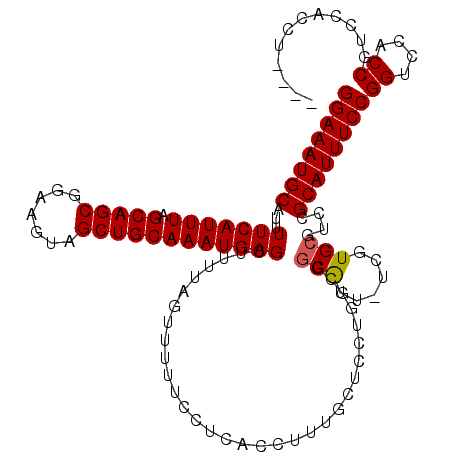secondary structure