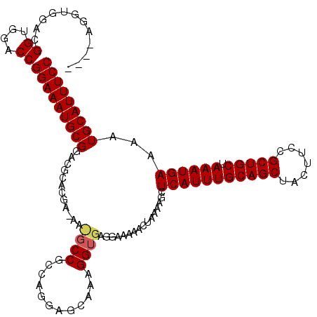 secondary structure