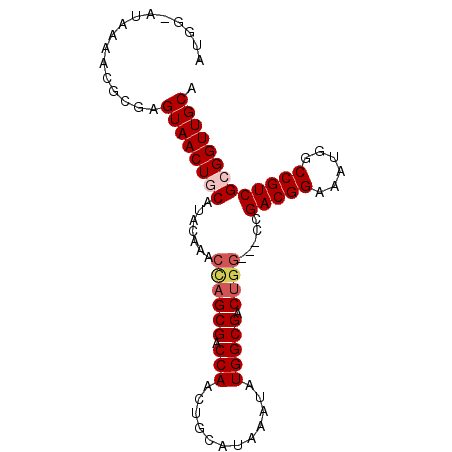 secondary structure