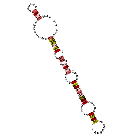 secondary structure