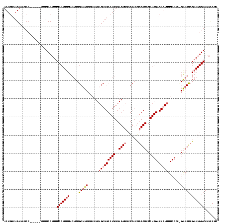 dotplot