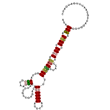 secondary structure