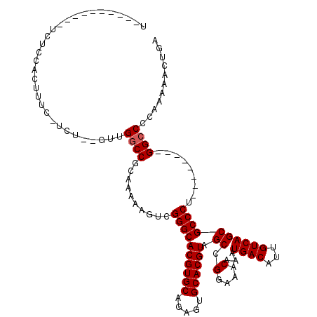 secondary structure