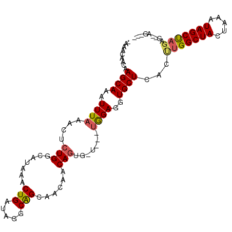 secondary structure