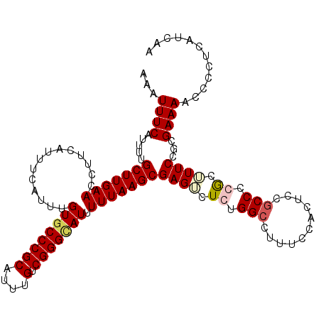secondary structure