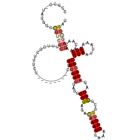 secondary structure