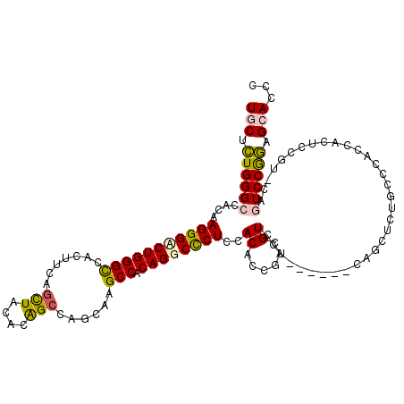 secondary structure