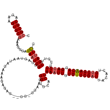 secondary structure