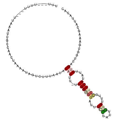 secondary structure