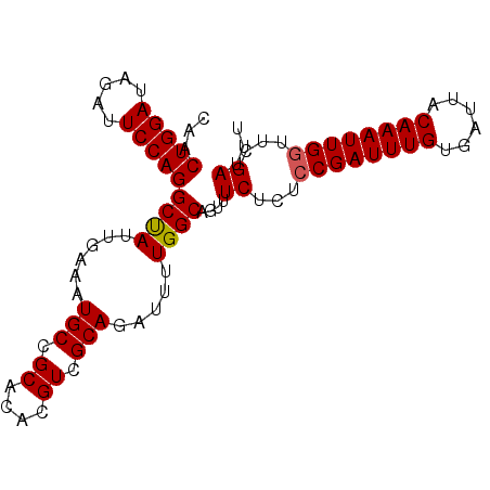 secondary structure