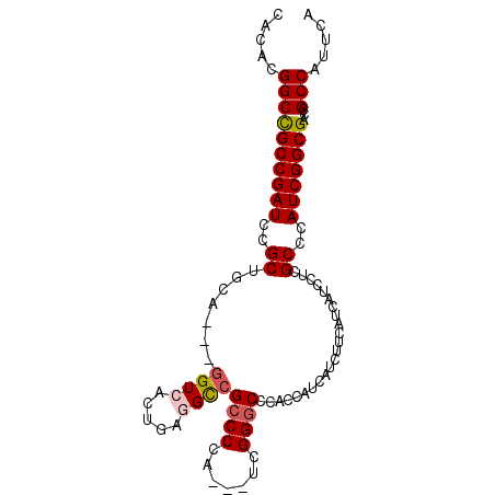 secondary structure
