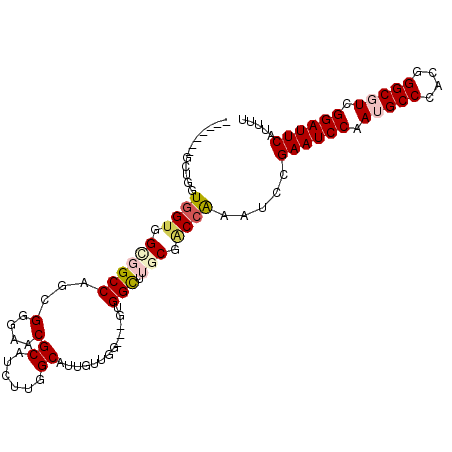 secondary structure