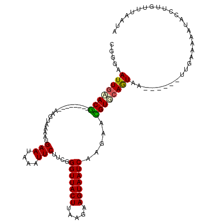 secondary structure