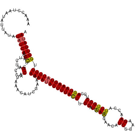 secondary structure