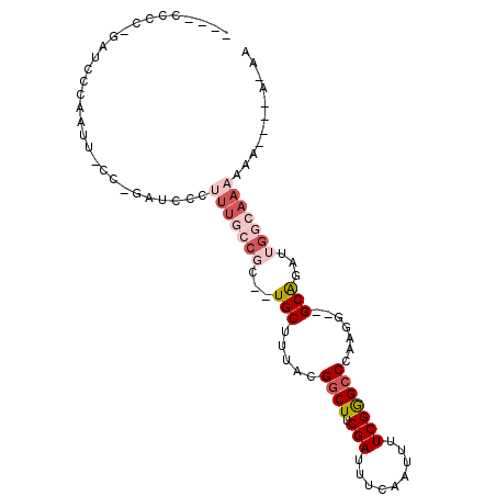 secondary structure