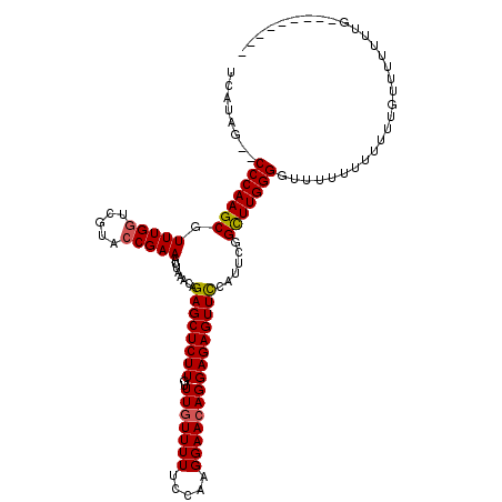 secondary structure