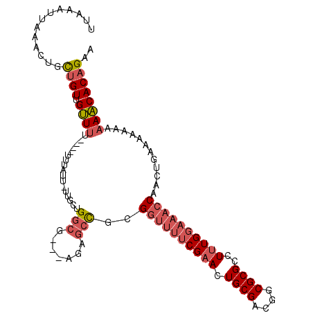 secondary structure