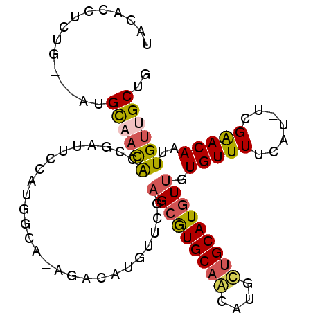 secondary structure
