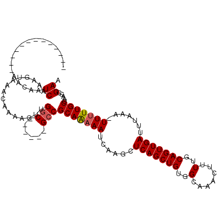 secondary structure