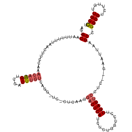 secondary structure