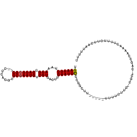 secondary structure