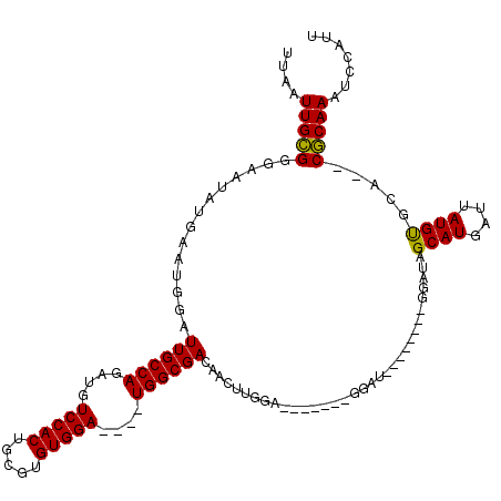 secondary structure