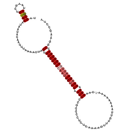 secondary structure