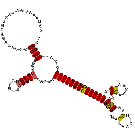 secondary structure