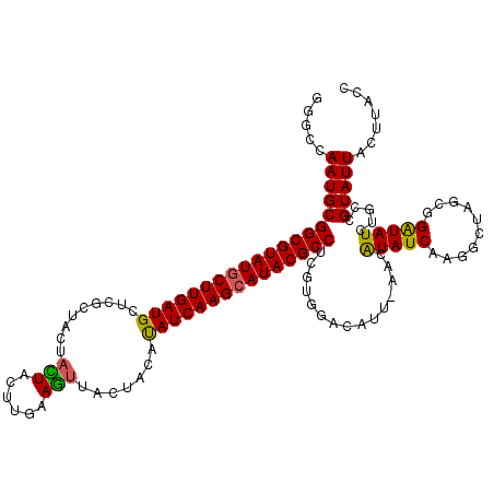 secondary structure