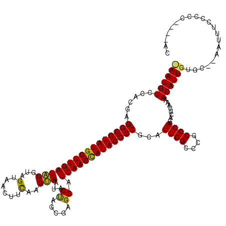 secondary structure