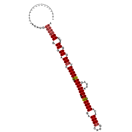 secondary structure