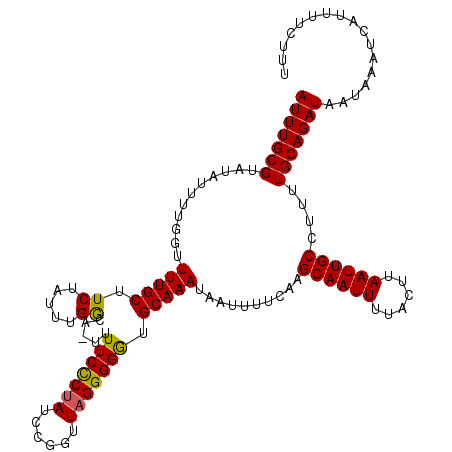 secondary structure