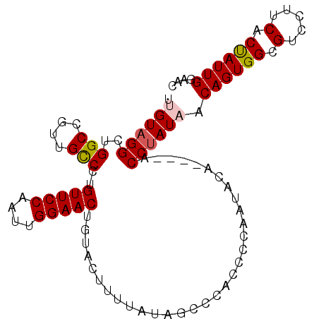 secondary structure