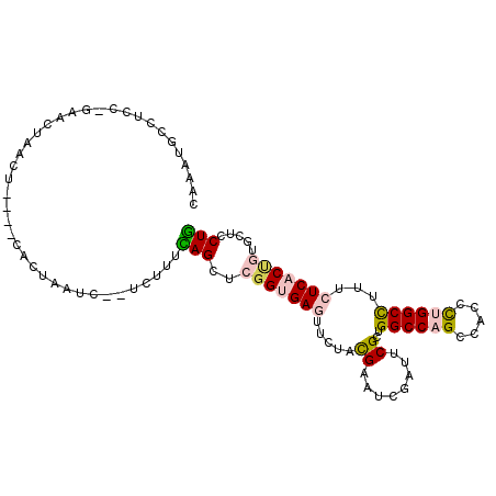 secondary structure