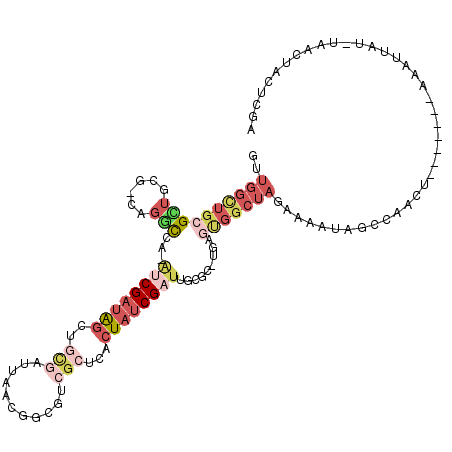 secondary structure