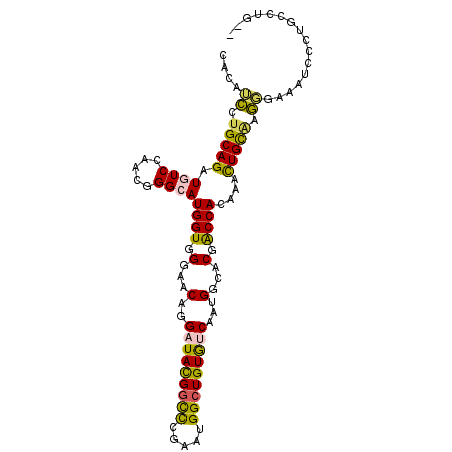 secondary structure