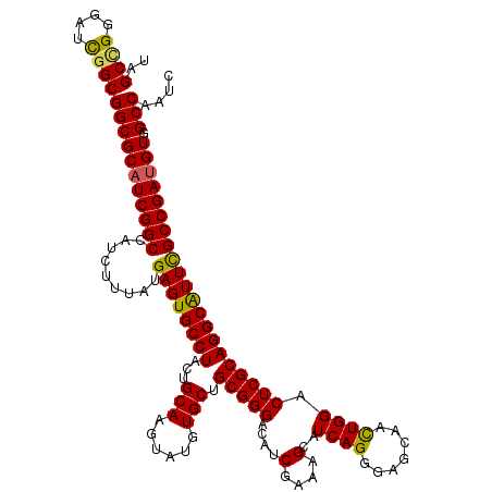 secondary structure