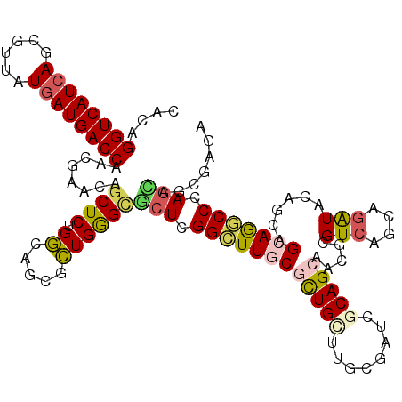 secondary structure