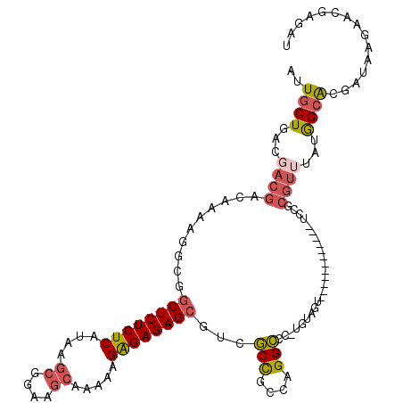 secondary structure