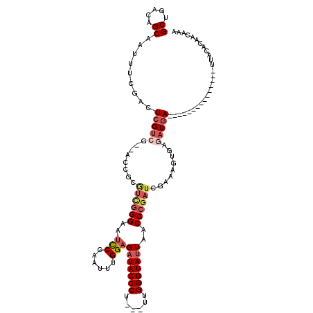 secondary structure