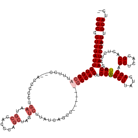 secondary structure