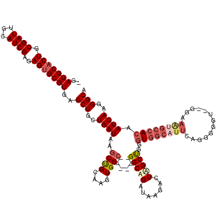 secondary structure