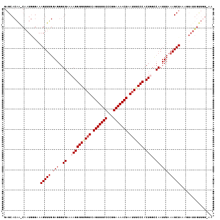 dotplot