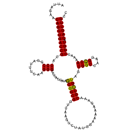 secondary structure