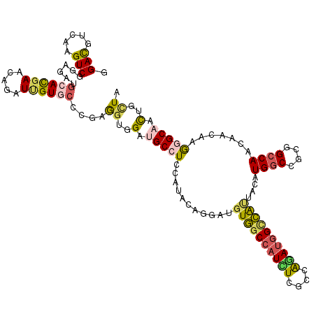secondary structure