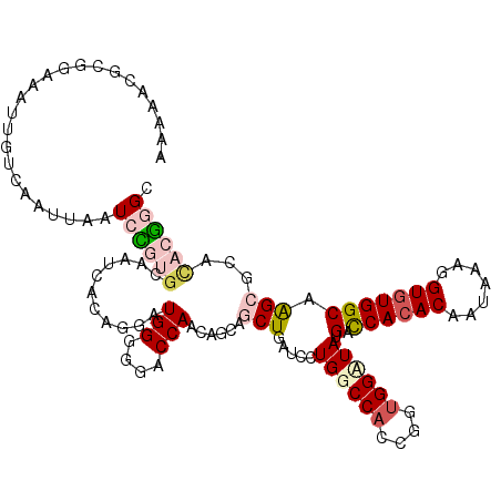 secondary structure