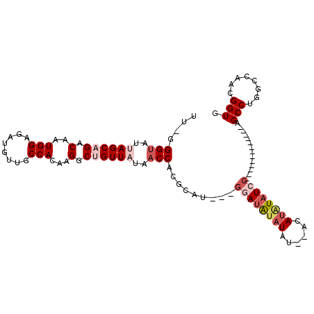 secondary structure